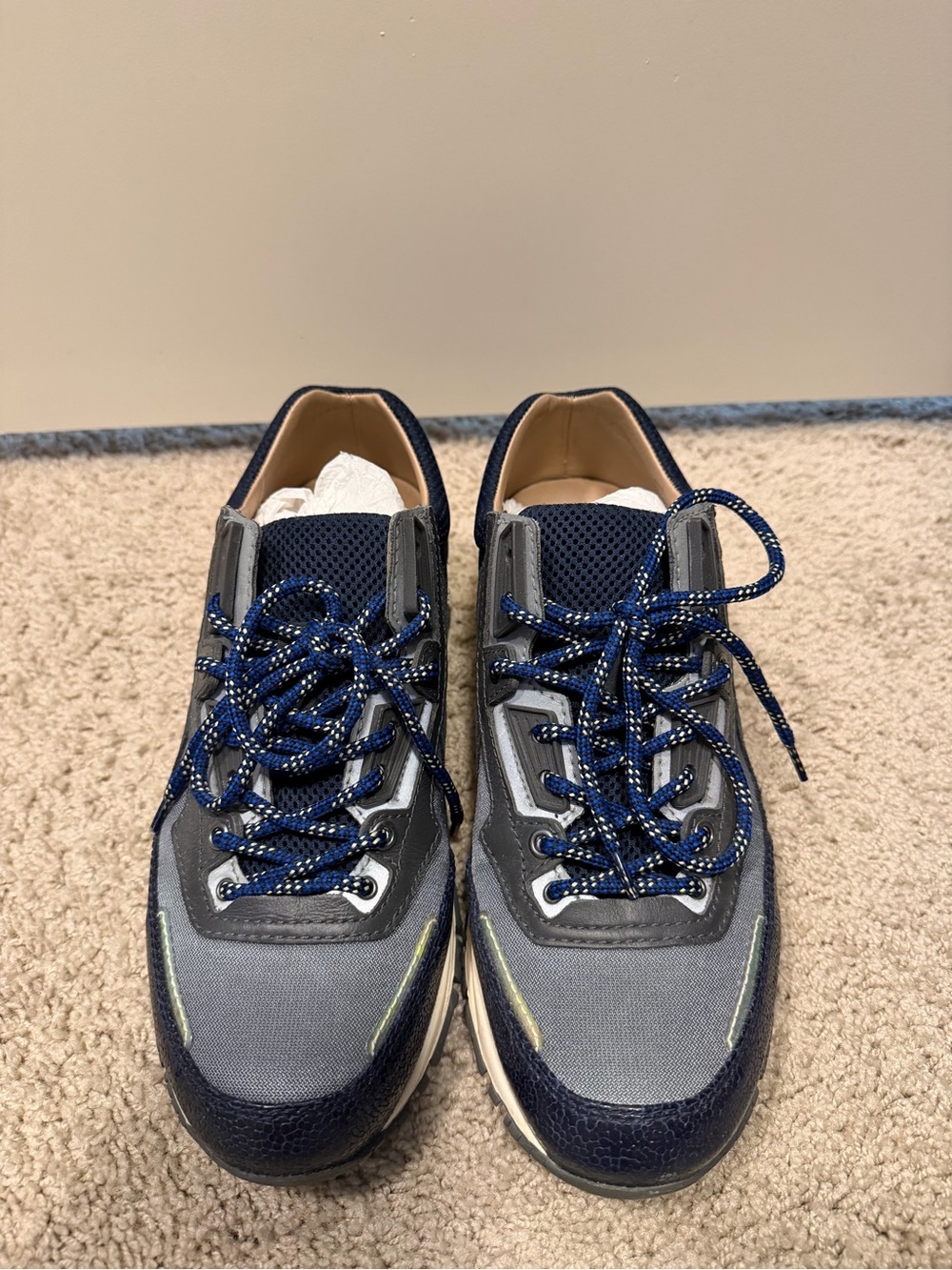 Lanvin Men's Luxury Cross Trainer Sneakers – Like New Size 9